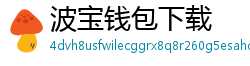波宝钱包下载